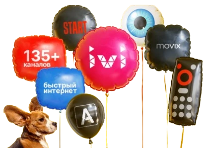 Услуги Дом.ру в Целине 